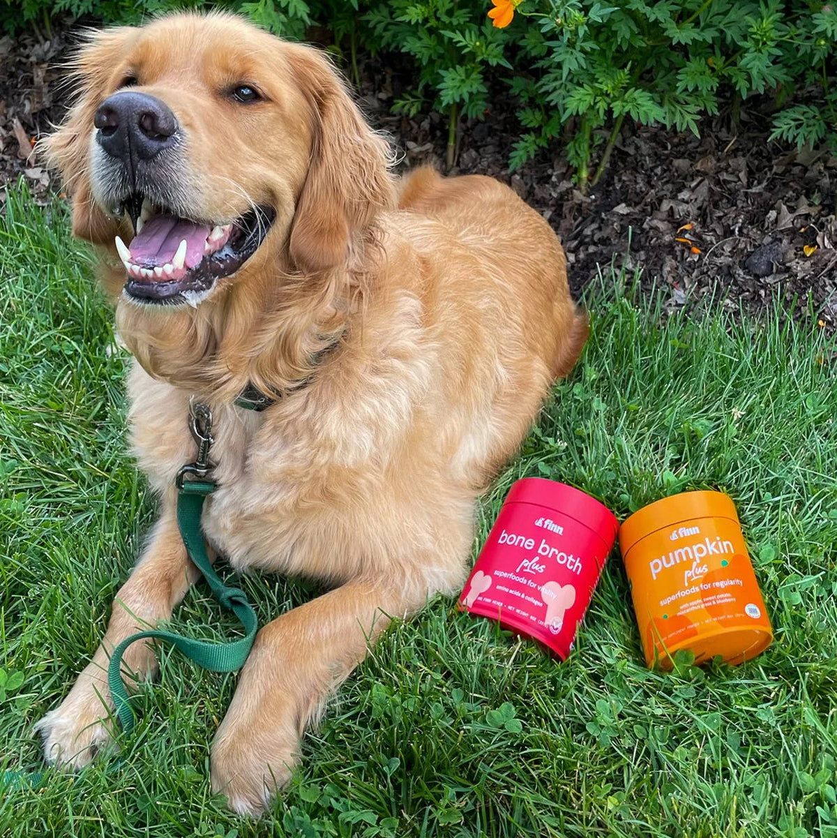 How to Feed Finn's Superfood Toppers