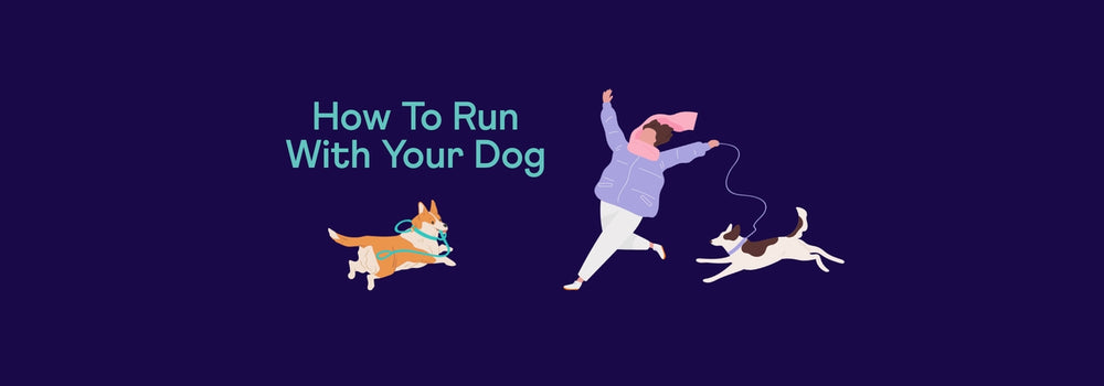 How To Run With Your Dog