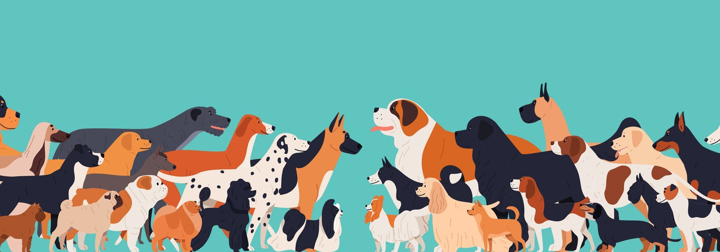 Most Popular Dog Breeds: The Ultimate Guide on Dog Breeds