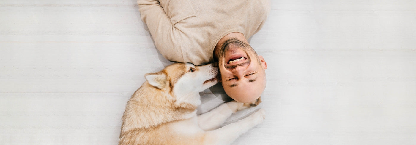 Why Do Dogs Lick You & Lick Other People?