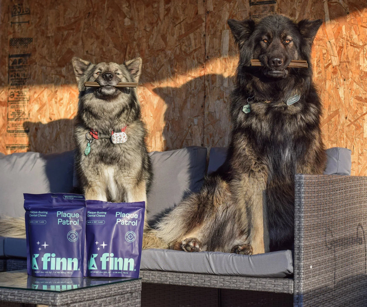 Say Hello to Plaque Patrol Dental Chews