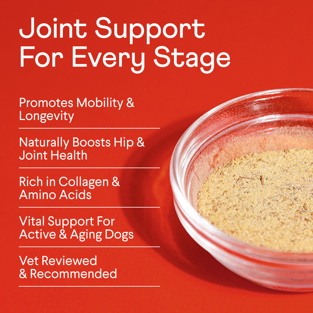 Red promotional graphic for dog joint support supplement showing golden bone broth powder in glass bowl with health benefits listed