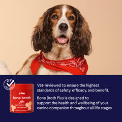 Happy spaniel mix dog wearing red bandana above Finn bone broth product with vet-reviewed safety message on blue background