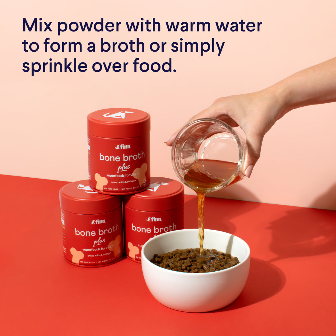 Hand pouring bone broth from glass measuring cup over dog food in white bowl, with red Finn bone broth containers on coral background