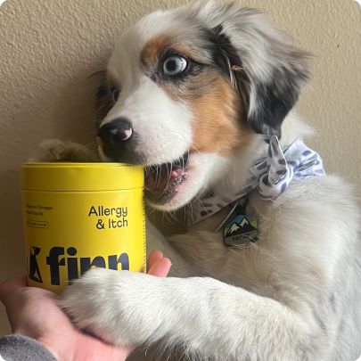 Dog holding a yellow FIDINALLERGY & ITCH product container.