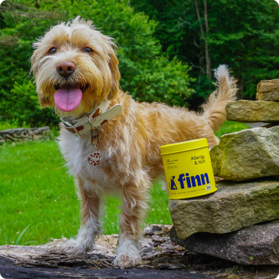 Dog standing next to a container labeled 'finn' with a green outdoor background