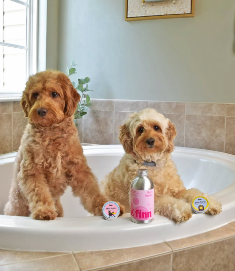 Two fluffy golden-brown puppies sitting in a white bathtub with grooming products, in a tiled bathroom setting