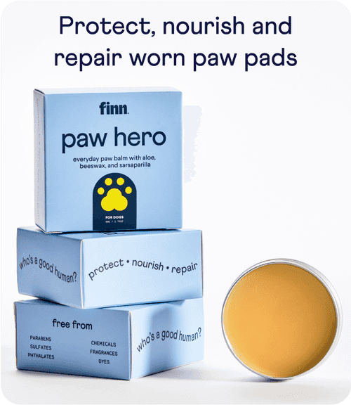 Stack of three blue product boxes labeled "finn paw hero" with yellow paw print logo, next to open tin of golden paw balm