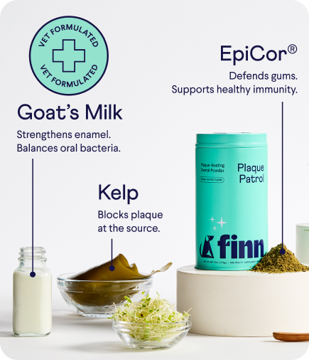 Product ingredients display featuring goat's milk in glass, kelp seaweed in bowl, and teal EpiCor supplement container with health benefits text