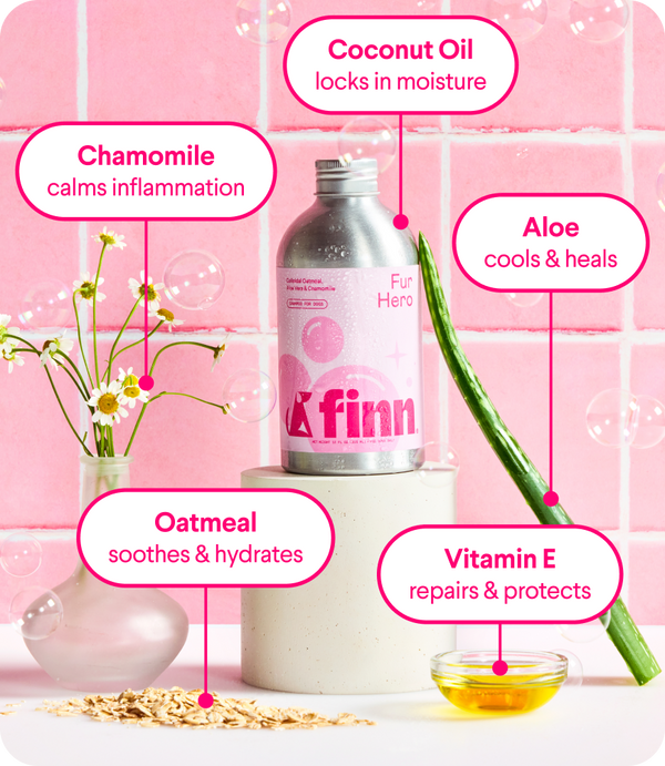Pink-themed skincare product display with labeled ingredients: chamomile flowers, coconut oil bottle, aloe leaf, oatmeal, and vitamin E oil with benefit callouts