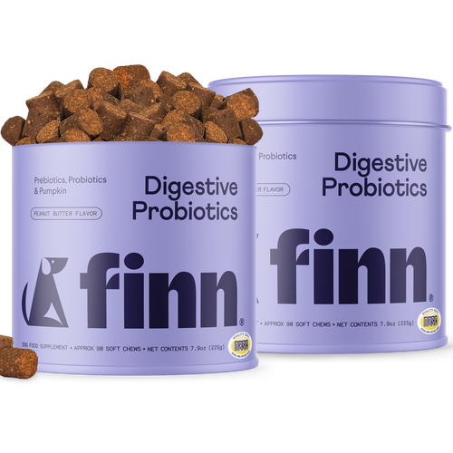 Two purple containers of Finn Digestive Probiotics dog supplements with brown soft chews scattered beside them