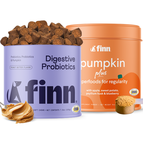 Finn brand digestive probiotics in purple container with peanut butter flavored chews spilled out, next to orange pumpkin plus supplement powder container