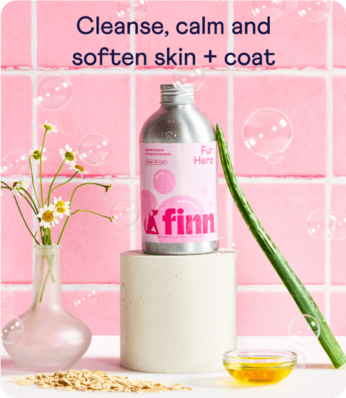 Pink-tiled bathroom setting with K'finn shampoo bottle, white flowers in vase, aloe plant, and honey bowl. Text reads "Cleanse, calm and soften skin + coat"
