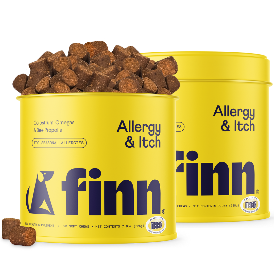 Two yellow cylindrical containers of Finn Allergy & Itch dog supplement with brown chew treats scattered around and on top