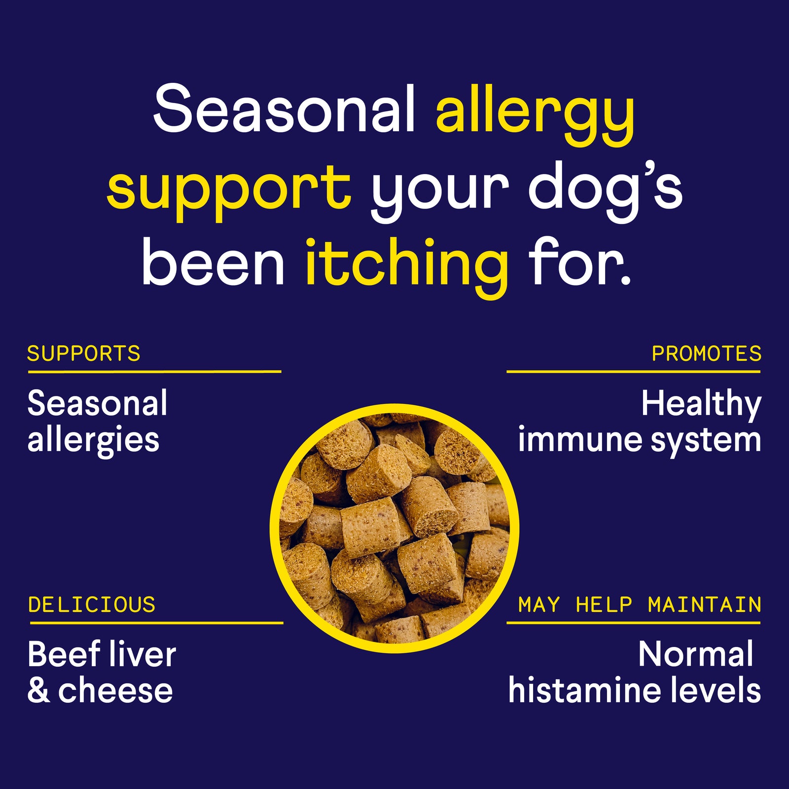 Navy blue promotional image for dog allergy treats showing brown kibble in yellow circle with white and yellow text listing benefits