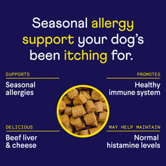 Navy blue promotional image for dog allergy treats showing brown kibble in yellow circle with white and yellow text listing benefits