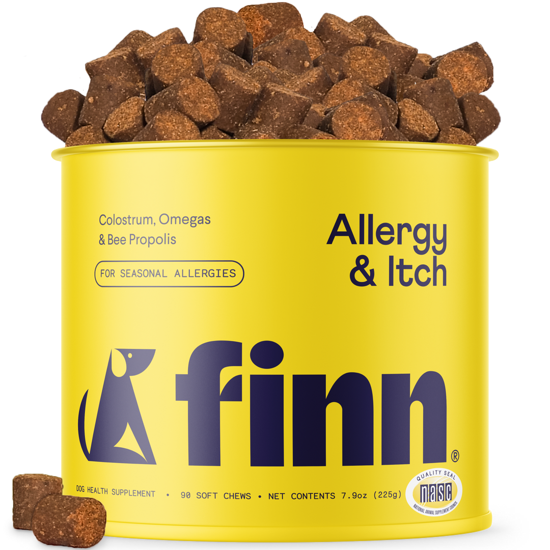 Yellow cylindrical container of Finn Allergy & Itch dog supplements with brown soft chews spilling over the top and scattered around the base.