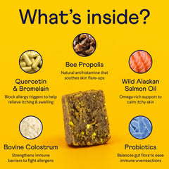 Pet supplement ingredients chart showing bee propolis, quercetin, salmon oil, colostrum and probiotics on yellow background