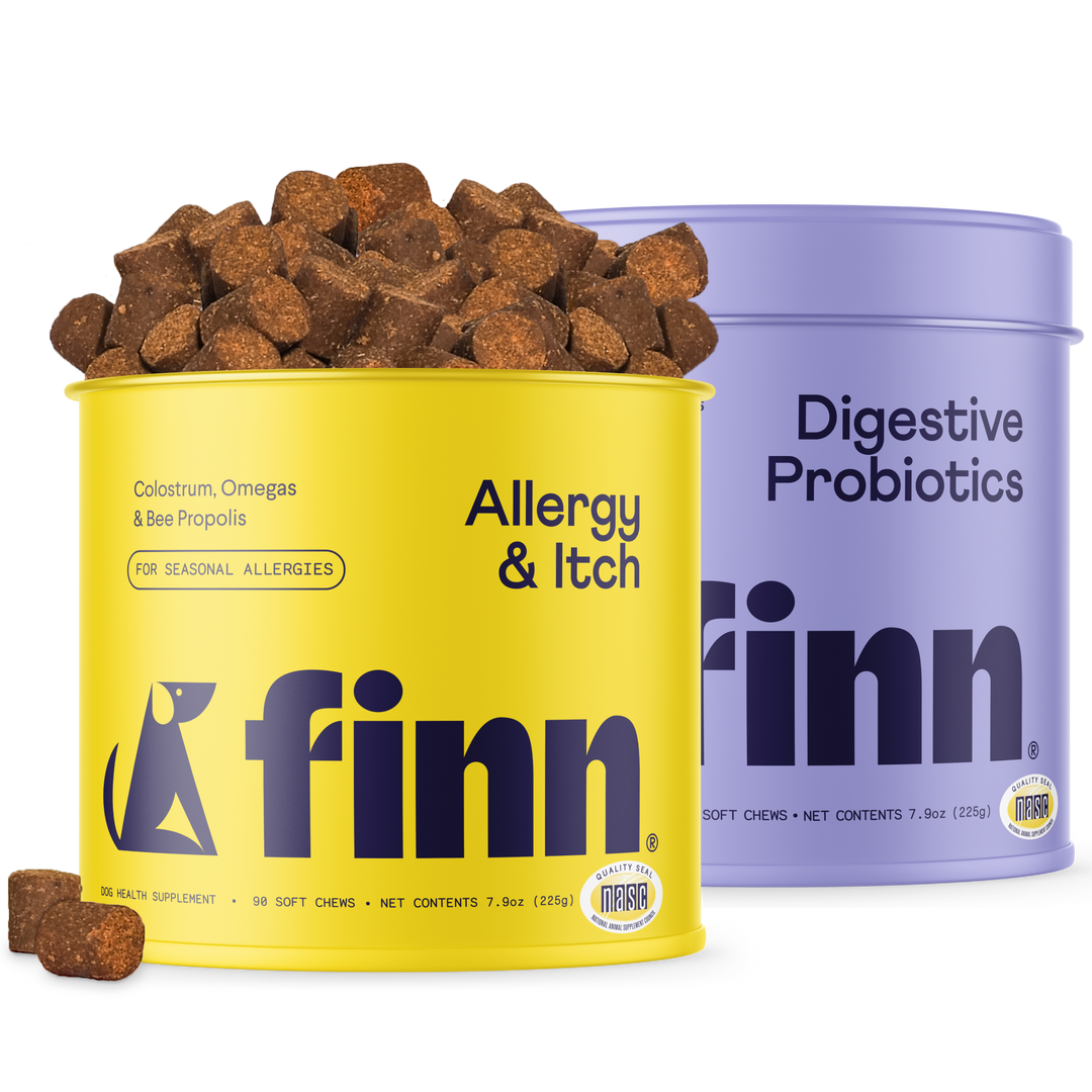Two Finn pet supplement containers - yellow "Allergy & Itch" with brown treats spilling out and purple "Digestive Probiotics"