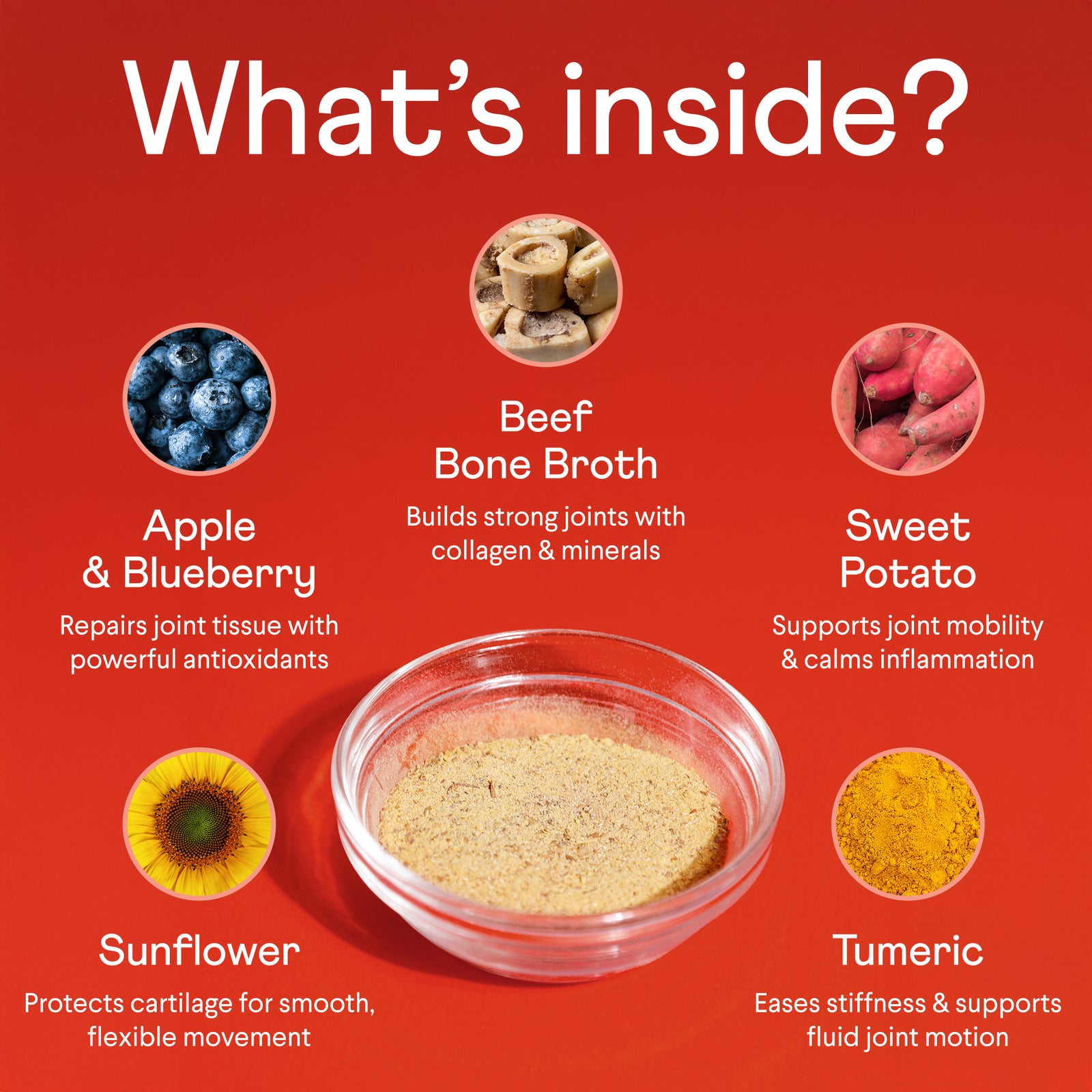 Red infographic showing ingredients in bone broth supplement with central bowl of powder surrounded by circular images of blueberries, mushrooms, sweet potatoes, sunflower, and turmeric with health benefits listed