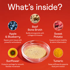 Red infographic showing ingredients in bone broth supplement with central bowl of powder surrounded by circular images of blueberries, mushrooms, sweet potatoes, sunflower, and turmeric with health benefits listed