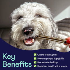 Fluffy white dog holding dental chew stick in mouth with blue banner listing key benefits for oral health