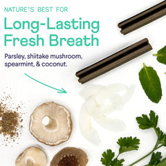Natural dental chews with fresh breath ingredients: dark brown chew sticks, shiitake mushrooms, coconut flakes, and green parsley and mint leaves on white background