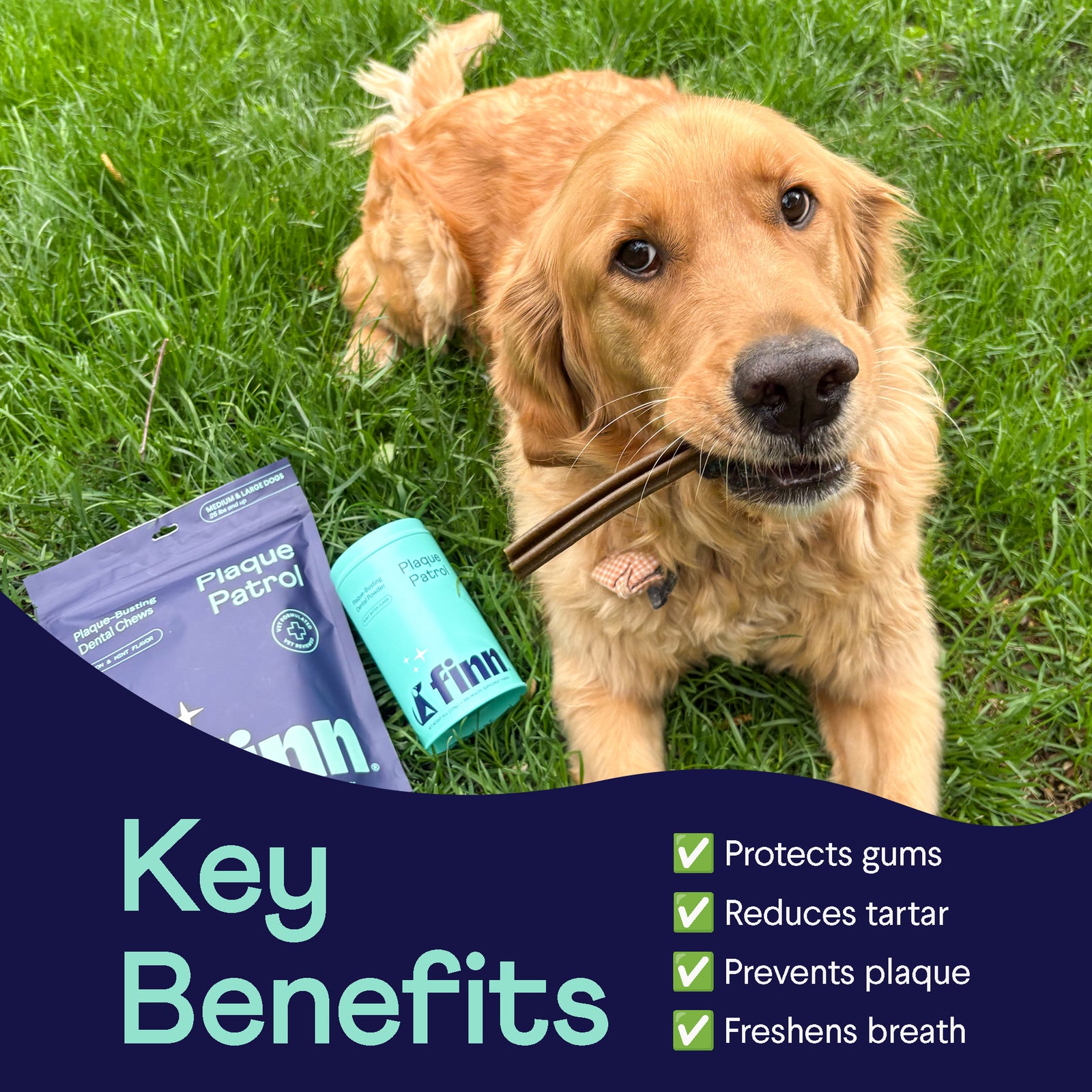 Golden retriever on grass with dental chew sticks beside Finn dental products showing key benefits for oral health