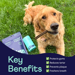 Golden retriever on grass with dental chew sticks beside Finn dental products showing key benefits for oral health