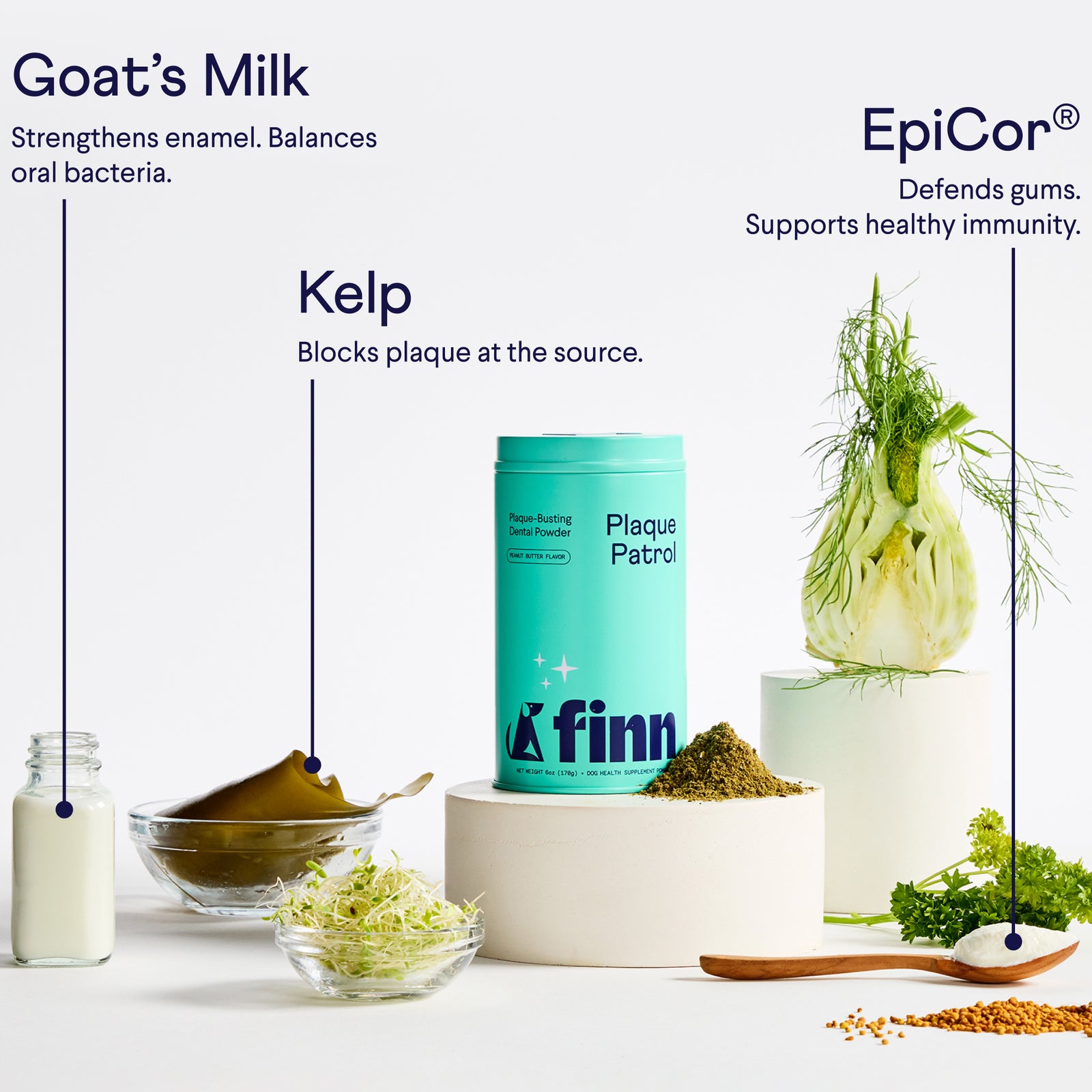 Teal Finn dental powder container surrounded by natural ingredients including goat's milk, kelp, fennel, and herbs on white surface