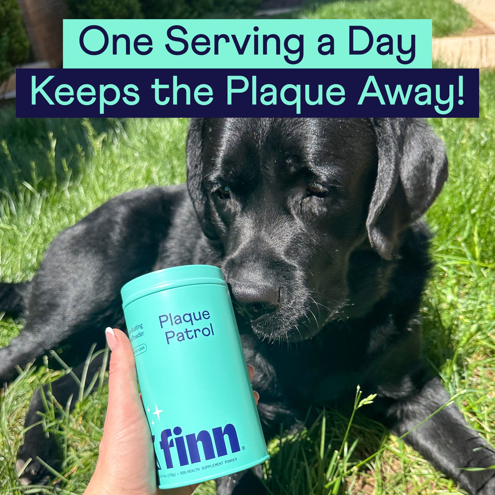 Hand holding turquoise Finn Plaque Patrol dental powder container next to black puppy on green grass with text "One Serving a Day Keeps the Plaque Away!"