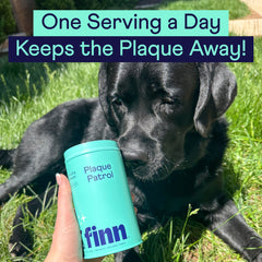 Hand holding turquoise Finn Plaque Patrol dental powder container next to black puppy on green grass with text "One Serving a Day Keeps the Plaque Away!"