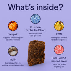 Purple infographic showing ingredients in a brown dog treat chew: pumpkin, probiotics, FOS, inulin, and beef & bacon flavor with descriptive text for each component.