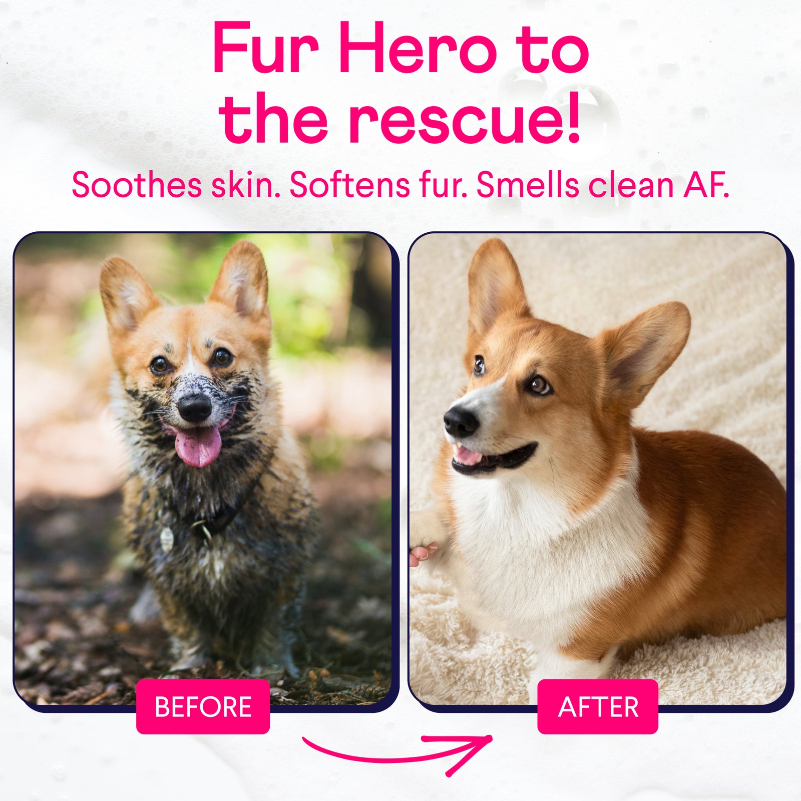 Before and after photos of a corgi: dirty and muddy on left, clean with soft orange and white fur on right