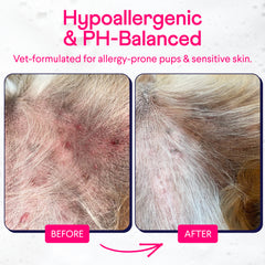 Before and after comparison showing dog's irritated red skin healing to healthy pink skin using hypoallergenic shampoo