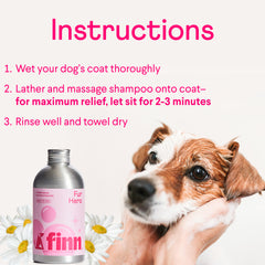 Dog shampoo instructions with pink Finn bottle, wet Jack Russell terrier, and white daisies on light background