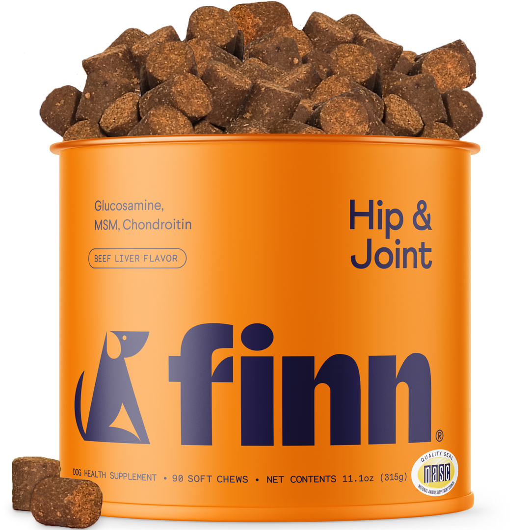 Orange canister of Finn Hip & Joint health supplements with dog treats on a white background