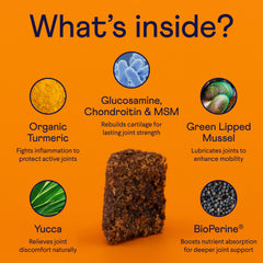 Orange infographic showing ingredients in a joint supplement treat, with circular icons around a brown square treat highlighting turmeric, glucosamine, mussel, yucca, and BioPerine.