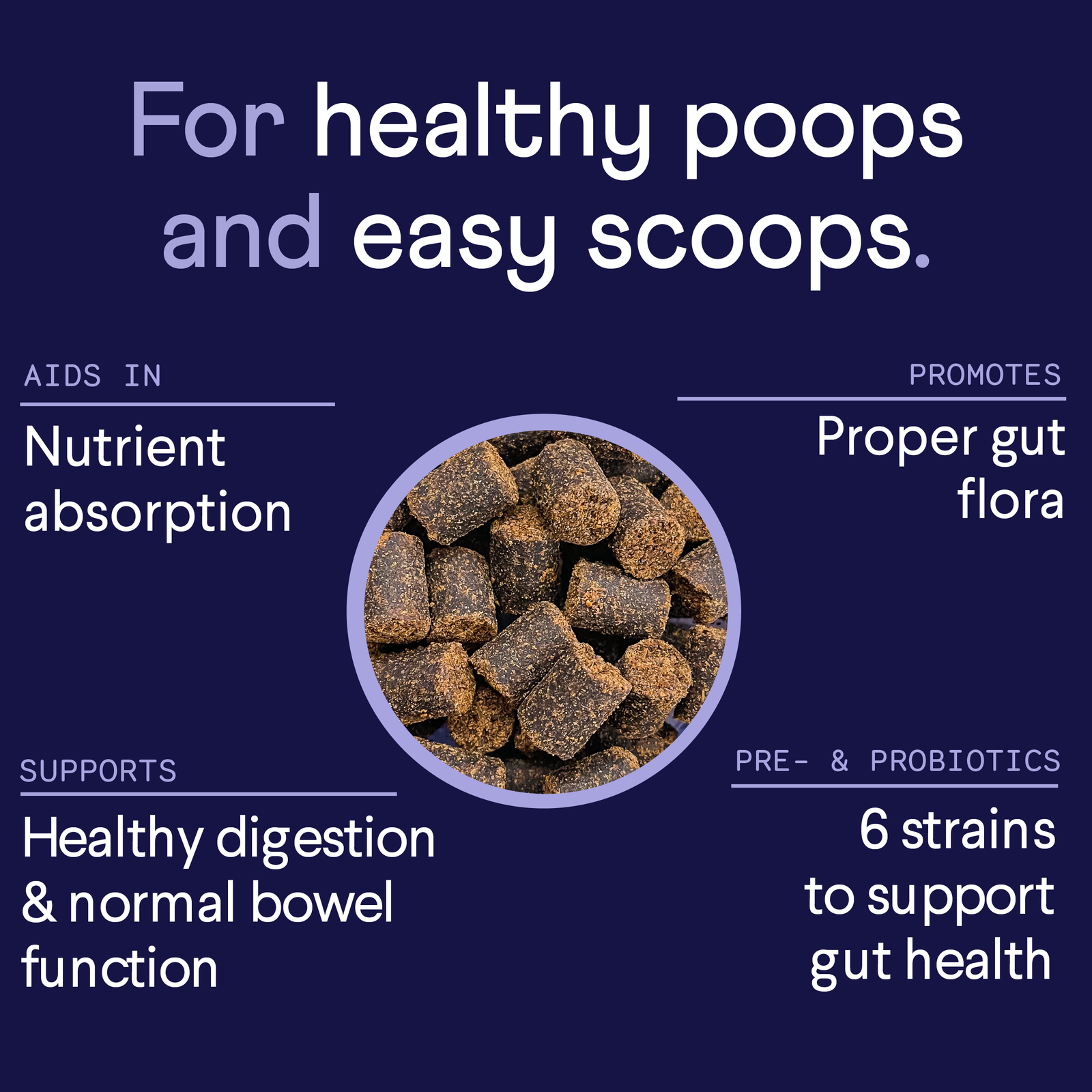 Dark blue promotional image showing brown probiotic treats in a bowl with white text listing digestive health benefits