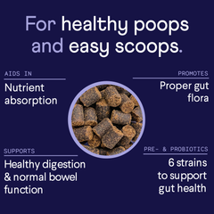Dark blue promotional image showing brown probiotic treats in a bowl with white text listing digestive health benefits