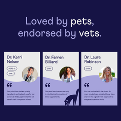 Three veterinarian endorsement cards on dark blue background featuring Dr. Kerri Nelson, Dr. Farren Billiard, and Dr. Laura Robinson with their photos and testimonial quotes about Finn pet supplements.