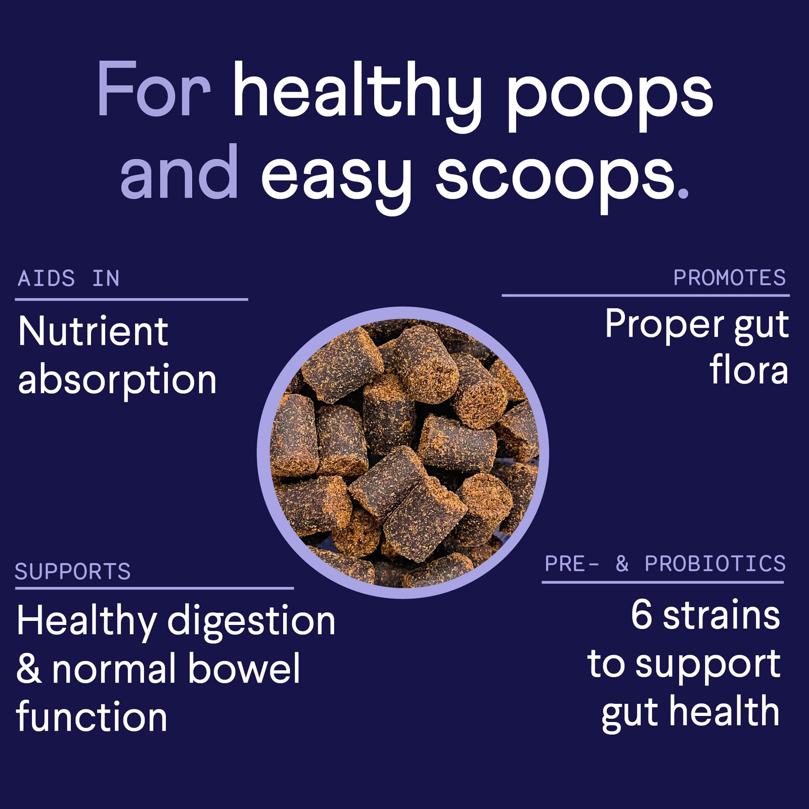 Dark blue promotional graphic showing brown probiotic dog treats in circular bowl with white text highlighting digestive health benefits