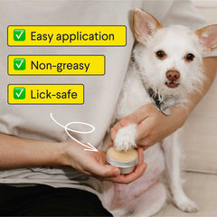 White dog with owner applying paw balm from small tin, highlighting easy application, non-greasy, and lick-safe benefits