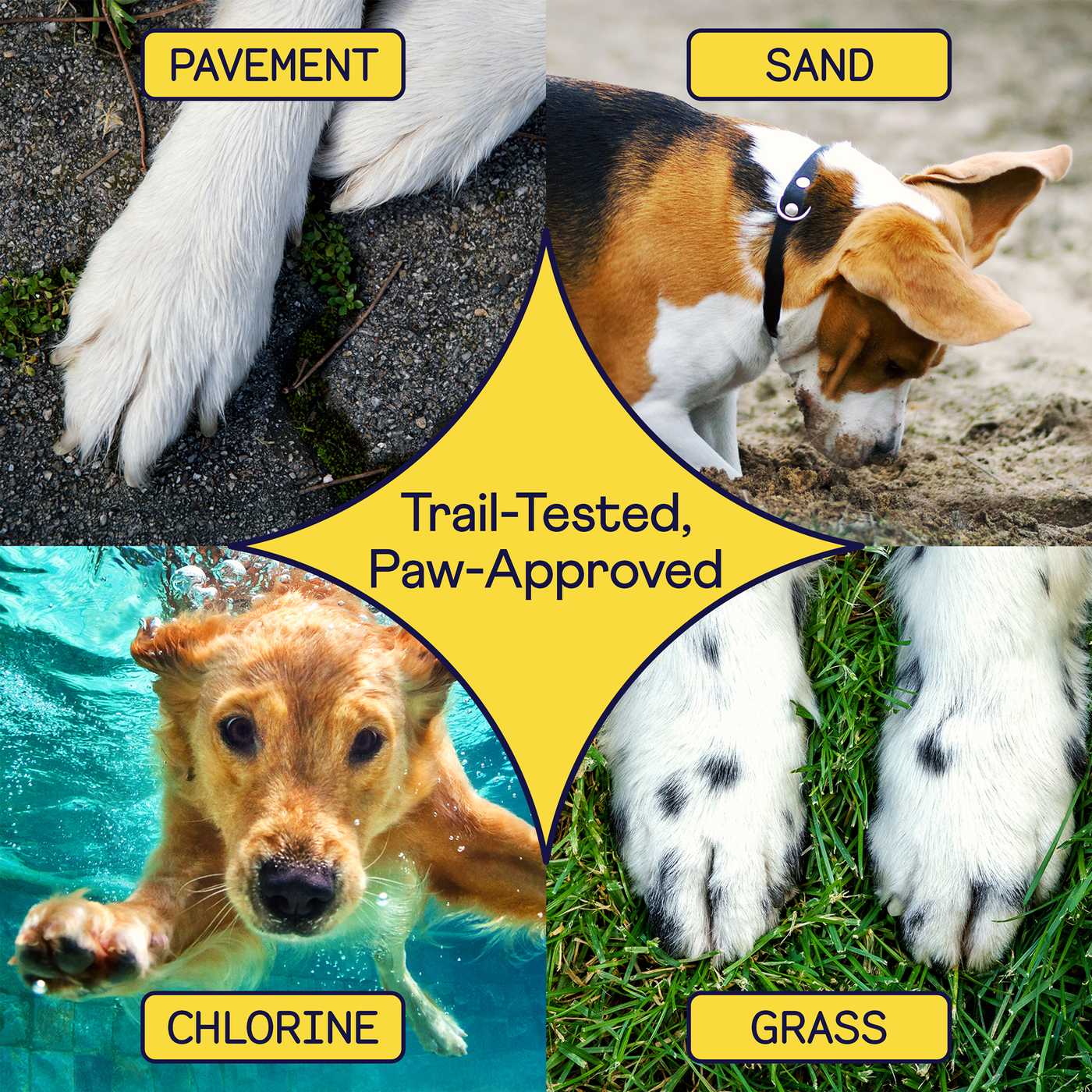 Four panels showing dog paws on different surfaces - pavement, sand, chlorinated water, and grass - with yellow star labeled "Trail-Tested, Paw-Approved"