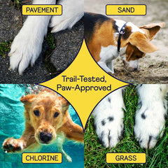 Four panels showing dog paws on different surfaces - pavement, sand, chlorinated water, and grass - with yellow star labeled "Trail-Tested, Paw-Approved"