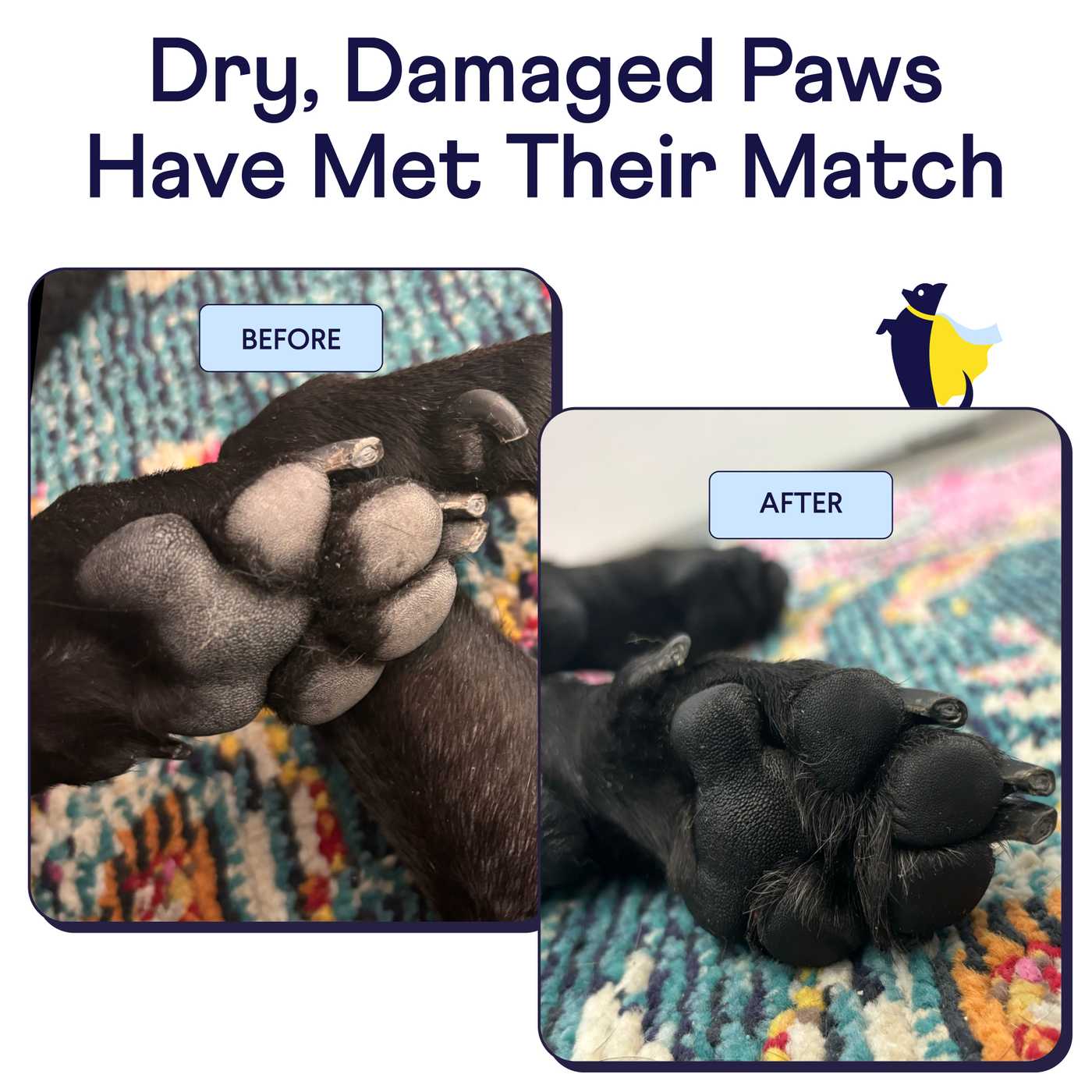 Paw Hero Dog Paw Balm – All-Weather Protection | Finn