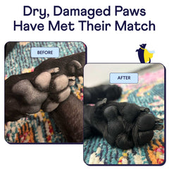 Before and after comparison of a dog's damaged paws showing healing progress on colorful blanket