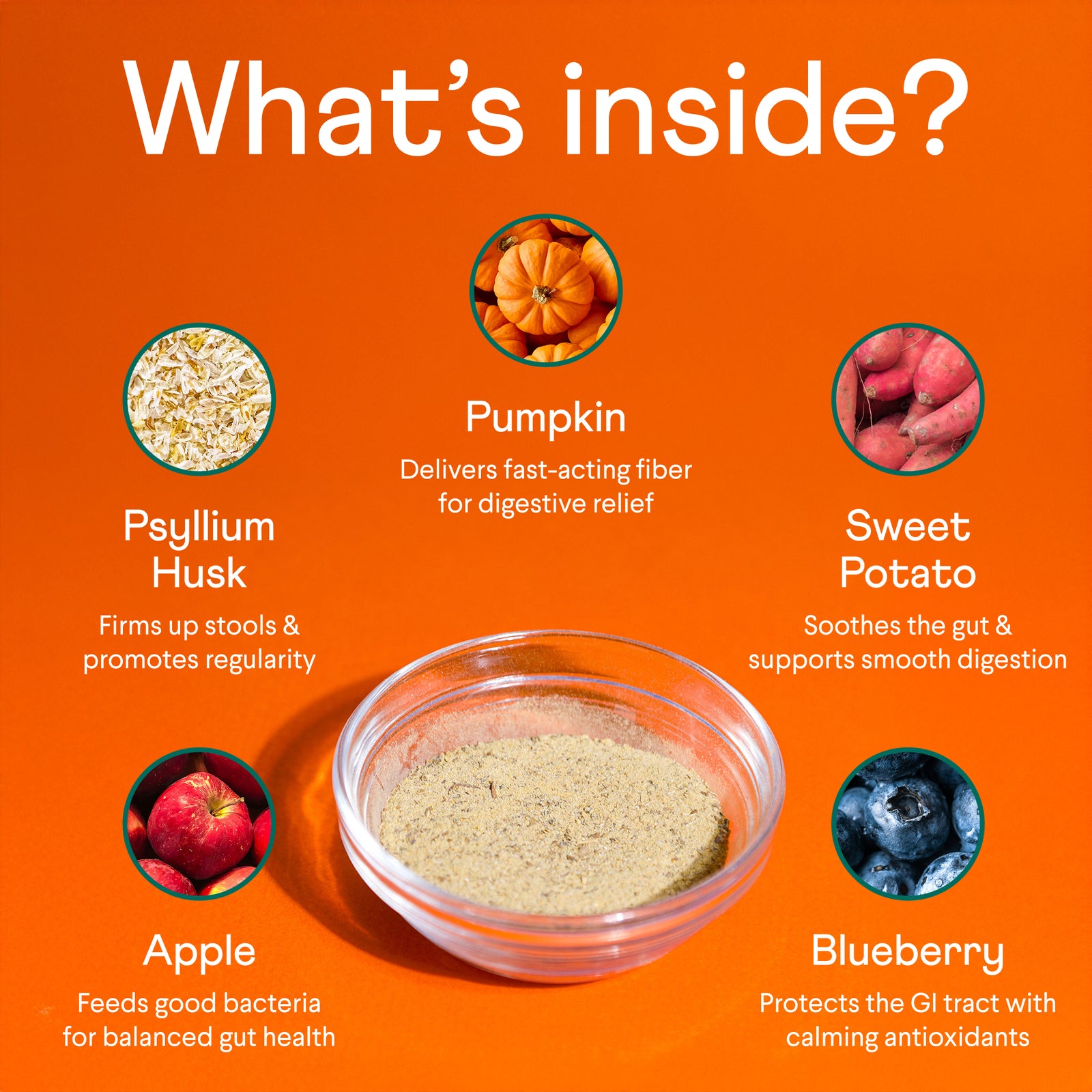 Orange infographic showing digestive supplement ingredients: psyllium husk, pumpkin, sweet potato, apple, and blueberry arranged around a bowl of powder with health benefits listed for each.