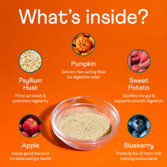 Orange infographic showing digestive supplement ingredients: psyllium husk, pumpkin, sweet potato, apple, and blueberry arranged around a bowl of powder with health benefits listed for each.