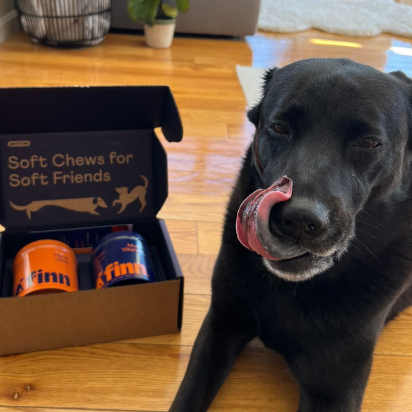 Black dog licking lips next to open box of orange Finn dog treats on wooden floor